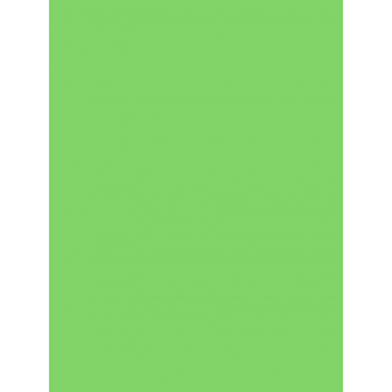 3065503845227 - 25F PAPIER AFFICHE 60X80CM VERT FONCÉ
