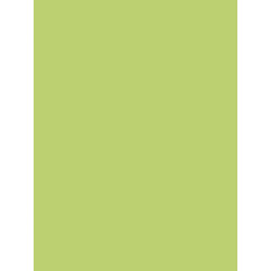 3065503845197 - 25F PAPIER AFFICHE 60X80CM VERT CLAIR