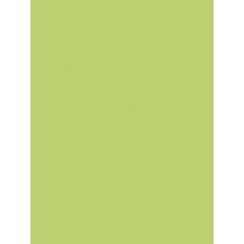 3065503845197 - 25F PAPIER AFFICHE 60X80CM VERT CLAIR