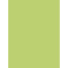 3065503845197 - 25F PAPIER AFFICHE 60X80CM VERT CLAIR