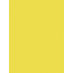 3065503845159 - 25F PAPIER AFFICHE 60X80CM JAUNE CLAIR