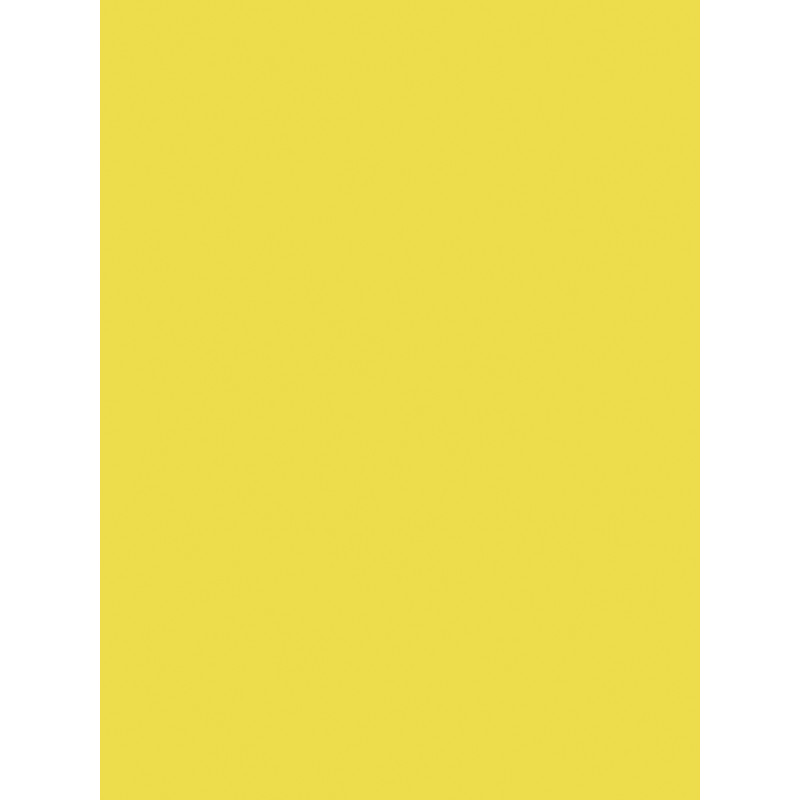 3065503845159 - 25F PAPIER AFFICHE 60X80CM JAUNE CLAIR