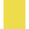 3065503845159 - 25F PAPIER AFFICHE 60X80CM JAUNE CLAIR