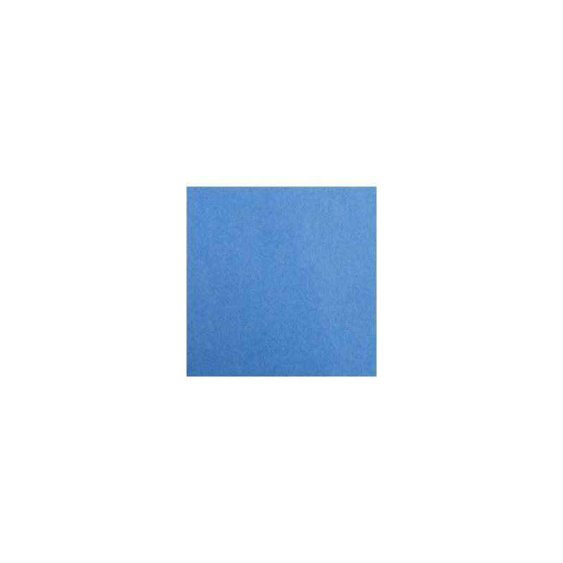 3065504553138 - 25F CARTOLINE 120G 50X65CM BLEU VIF