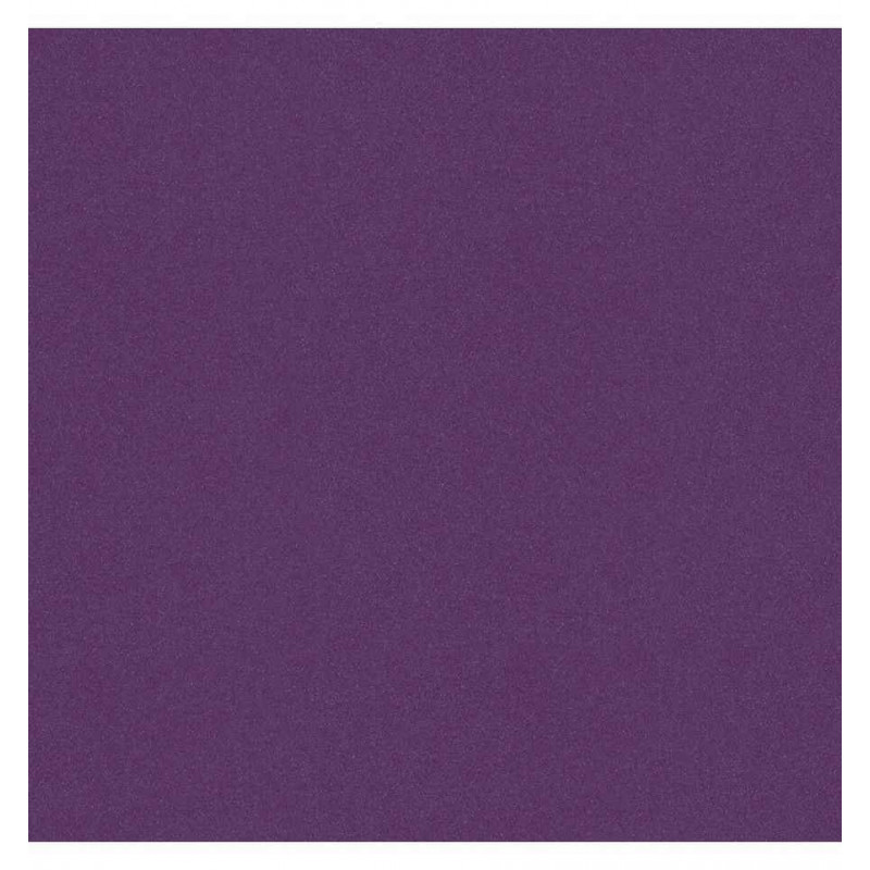 3065504553107 - 25F CARTOLINE 120G 50X65CM VIOLET