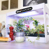 3134727000023 - CL?OGARDEN 1 KIT CYCLE 1