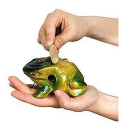 3549540092221 - GRENOUILLE GUIRO