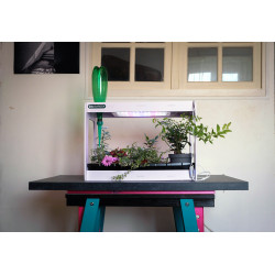3134727000054 - CL?OGARDEN 3 KIT CYCLE 3