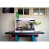 3134727000054 - CL?OGARDEN 3 KIT CYCLE 3
