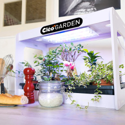 3134727000054 - CL?OGARDEN 3 KIT CYCLE 3