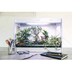 3134727000054 - CL?OGARDEN 3 KIT CYCLE 3