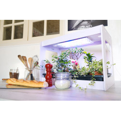 3134727000054 - CL?OGARDEN 3 KIT CYCLE 3
