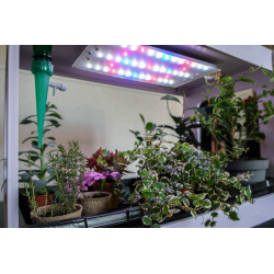 3134727000054 - CL?OGARDEN 3 KIT CYCLE 3