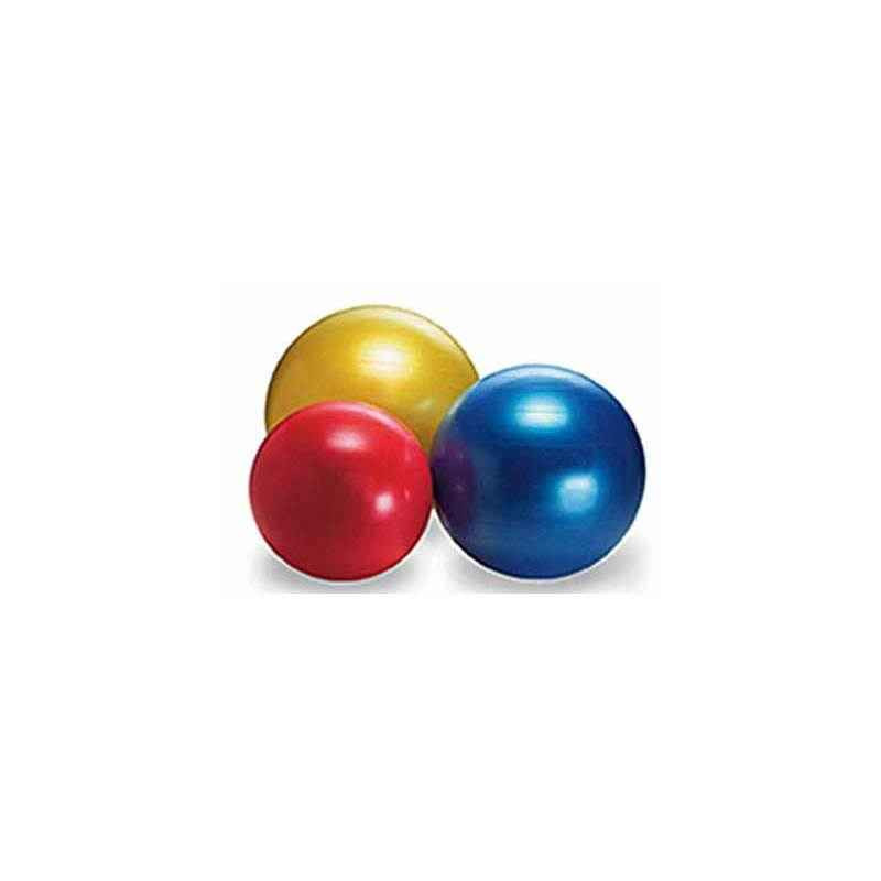3701323410695 - GYMBALL 65 CM