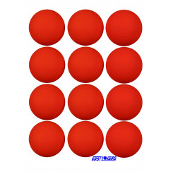 3420210042237 - 12 BALLES DE HOCKEY