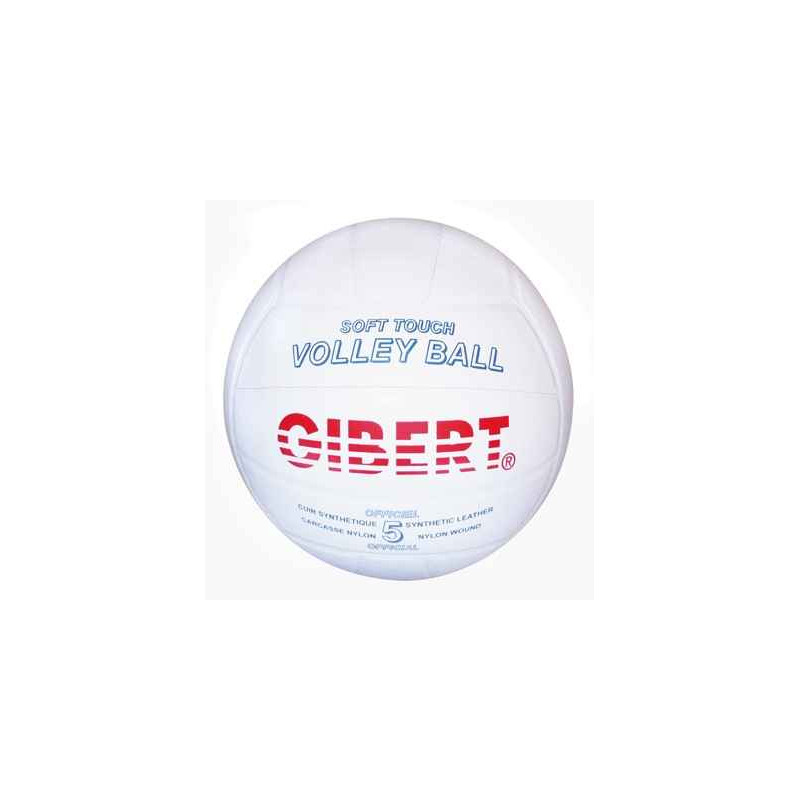 3420210000565 - BALLON VOLLEY BALL CUIR T.5 21CM