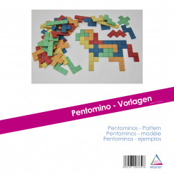 4260414067396 - MODÈLE POUR PENTOMINOS