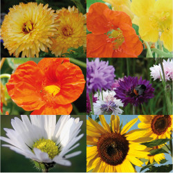 3598760268329 - COFFRET FLEURS