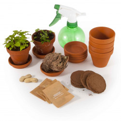 3598760328825 - PLANTES EXTRAORDINAIRES