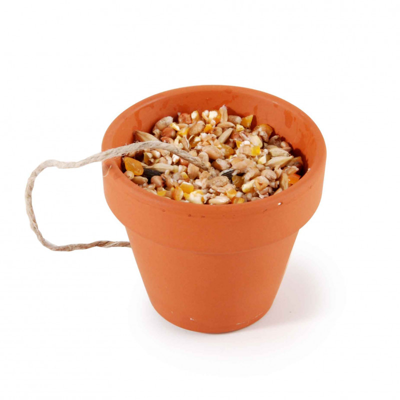 3598760328733 - JE FABRIQUE MES POTS DE GRAINES