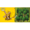 3664824001215 - KINGDOMINO