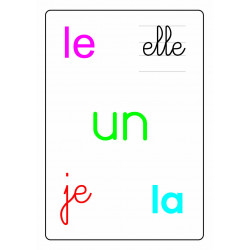 9782381370033 - TAM TAM SAFARI LES MOTS-OUTILS DU CP