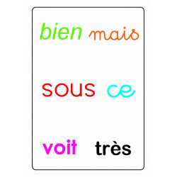 9782381370033 - TAM TAM SAFARI LES MOTS-OUTILS DU CP