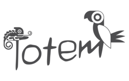 EQUIPE TOTEM INC